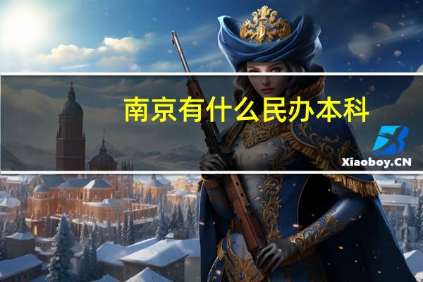 南京有什么民办本科