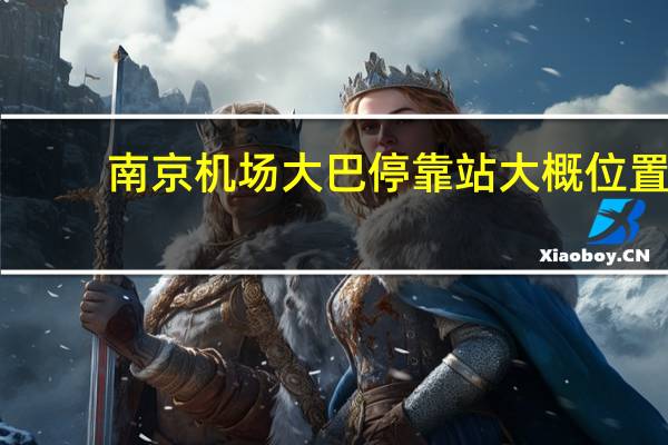 南京机场大巴停靠站大概位置