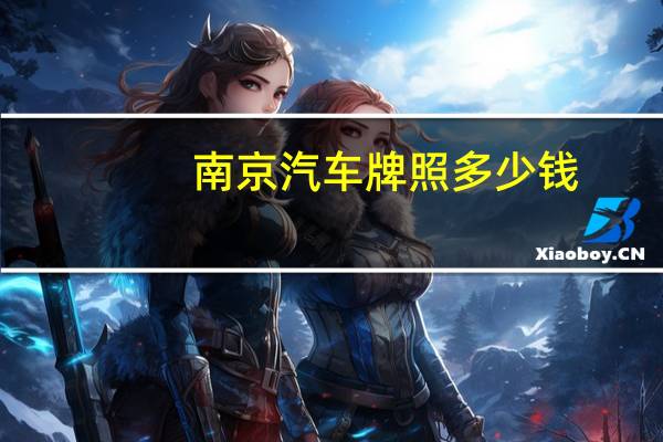 南京汽车牌照多少钱