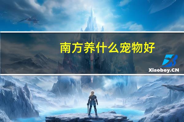 南方养什么宠物好