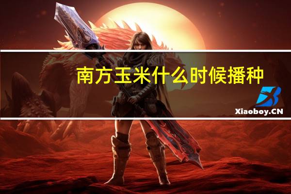 南方玉米什么时候播种