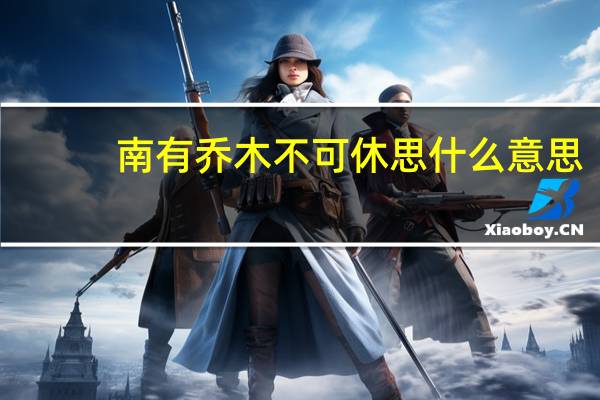 南有乔木不可休思什么意思