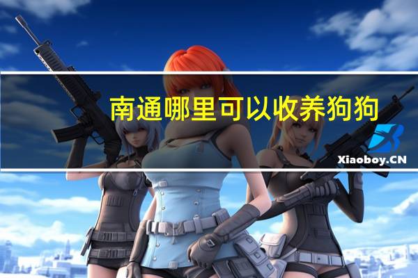 南通哪里可以收养狗狗