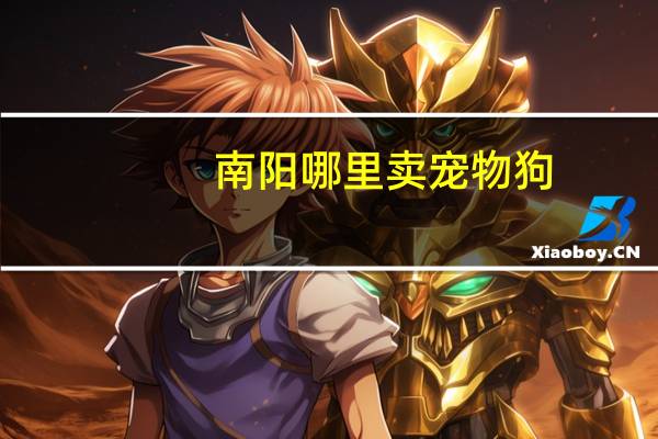 南阳哪里卖宠物狗