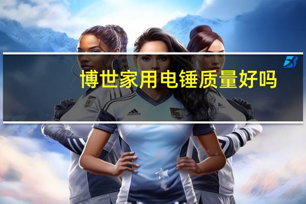 博世家用电锤质量好吗