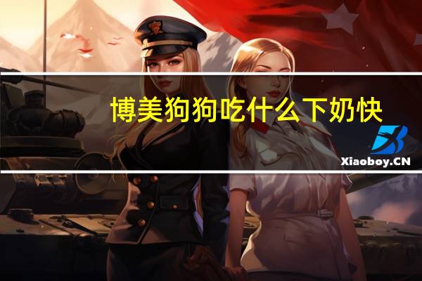 博美狗狗吃什么下奶快