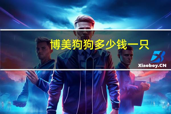 博美狗狗多少钱一只