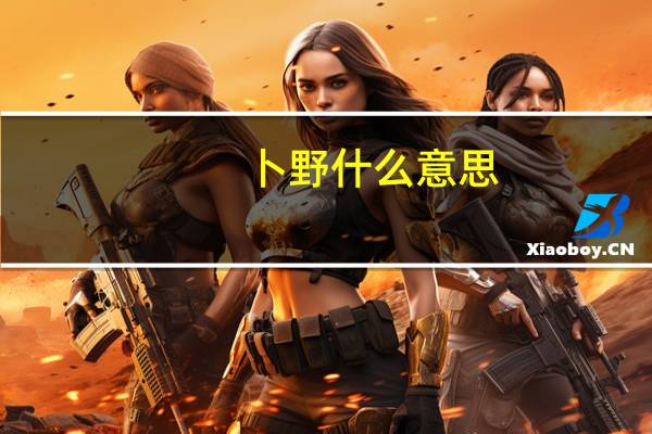卜野什么意思