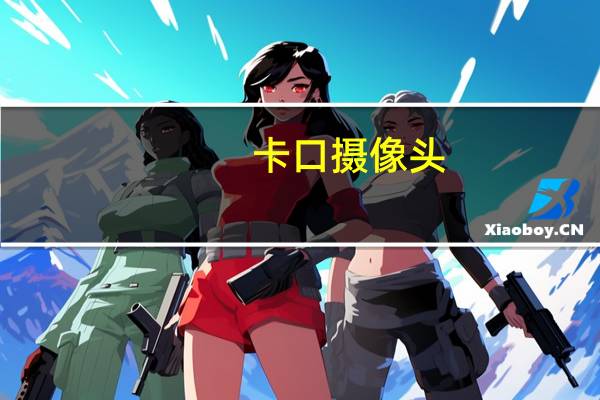 卡口摄像头。