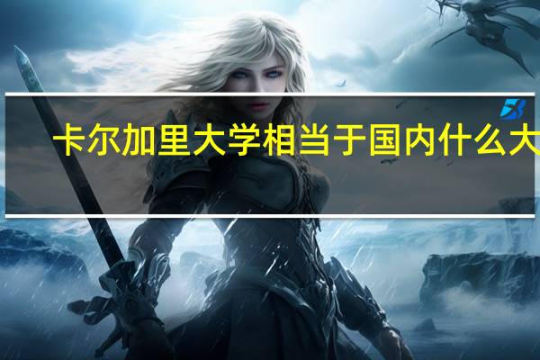 卡尔加里大学相当于国内什么大学