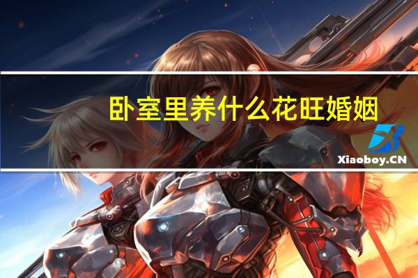 卧室里养什么花旺婚姻
