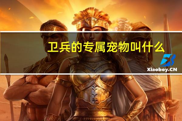 卫兵的专属宠物叫什么