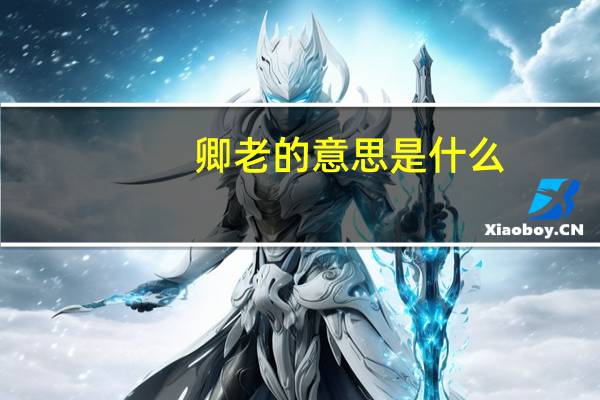 卿老的意思是什么