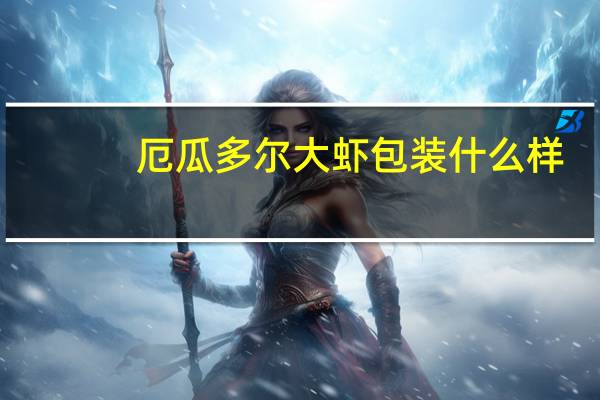 厄瓜多尔大虾包装什么样