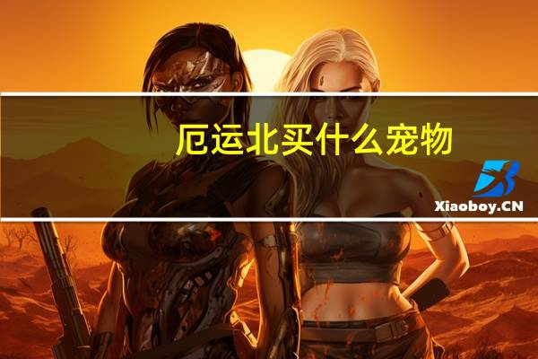 厄运北买什么宠物