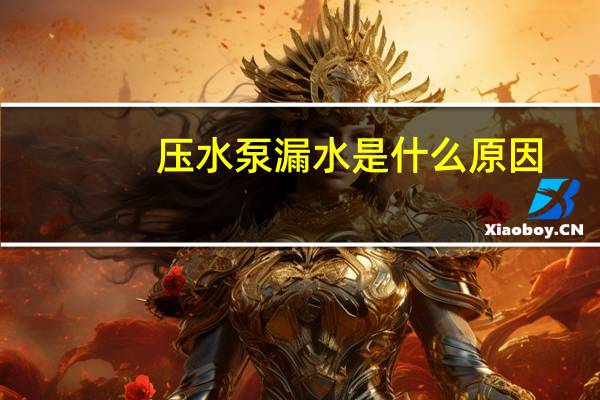 压水泵漏水是什么原因