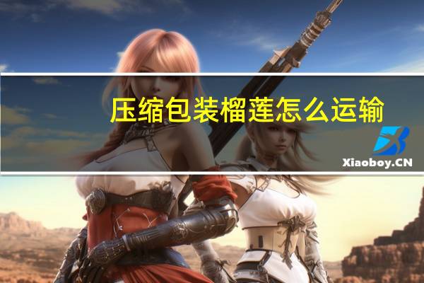 压缩包装榴莲怎么运输