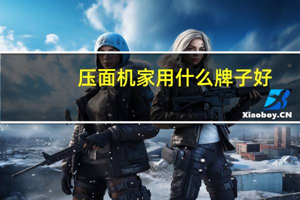 压面机家用什么牌子好
