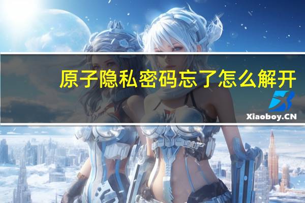 原子隐私密码忘了怎么解开