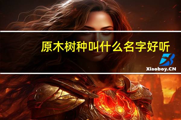 原木树种叫什么名字好听