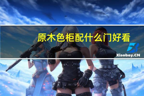 原木色柜配什么门好看