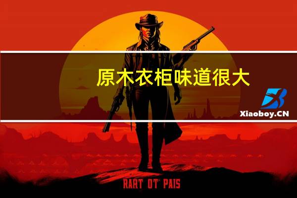 原木衣柜味道很大