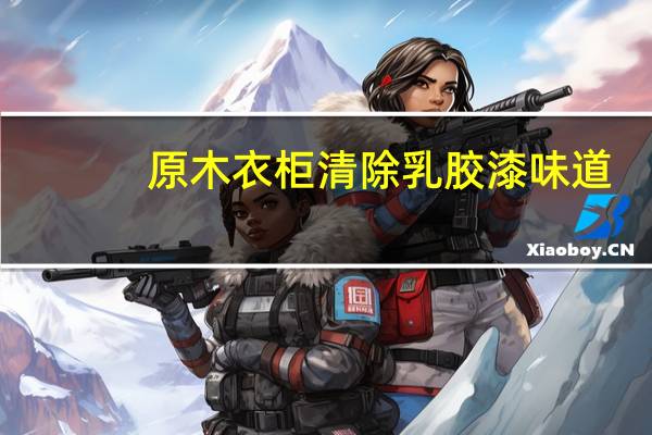 原木衣柜清除乳胶漆味道