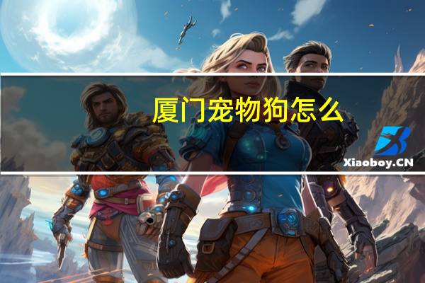 厦门宠物狗怎么