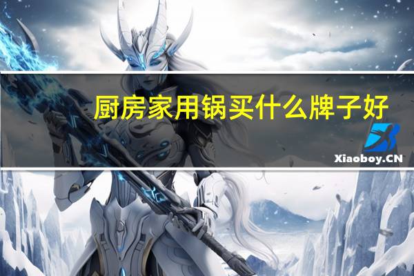 厨房家用锅买什么牌子好