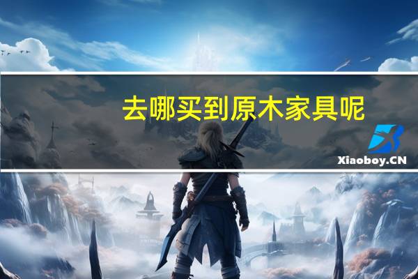 去哪买到原木家具呢