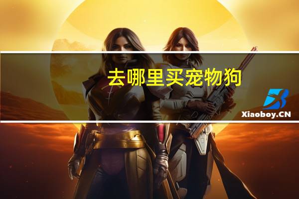 去哪里买宠物狗