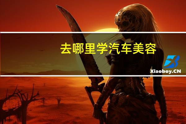 去哪里学汽车美容
