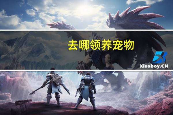 去哪领养宠物