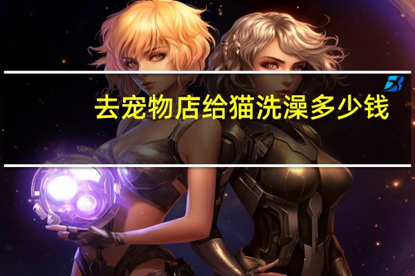 去宠物店给猫洗澡多少钱