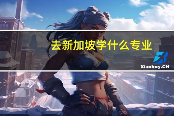 去新加坡学什么专业