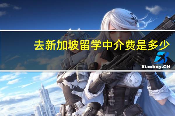 去新加坡留学中介费是多少
