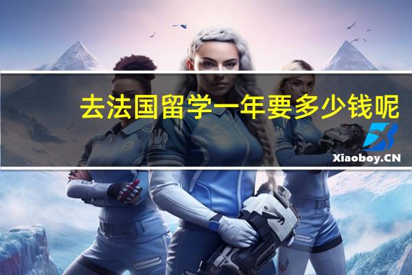 去法国留学一年要多少钱呢？