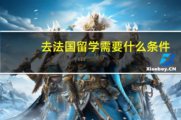 去法国留学需要什么条件，求帮助