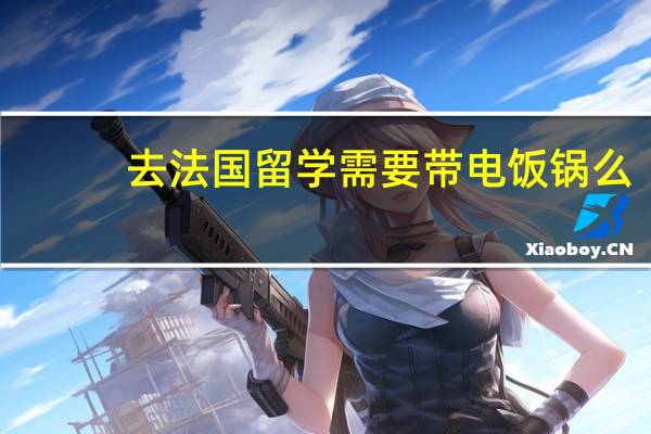 去法国留学需要带电饭锅么
