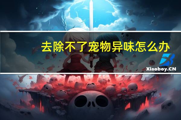 去除不了宠物异味怎么办