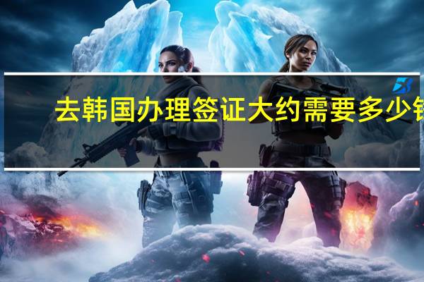 去韩国办理签证大约需要多少钱(去韩国办理签证大约需要多少钱一个月)