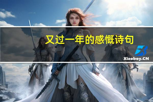 又过一年的感慨诗句