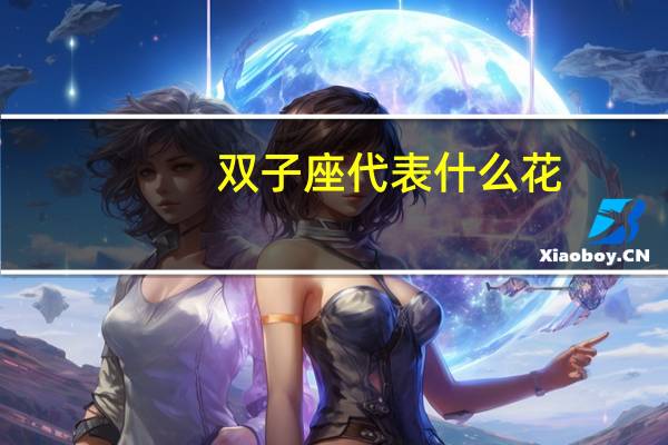 双子座代表什么花