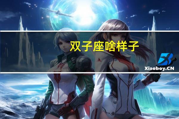 双子座啥样子