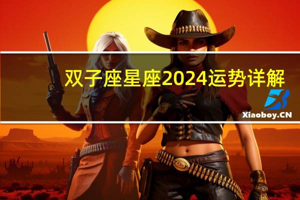 双子座星座2024运势详解