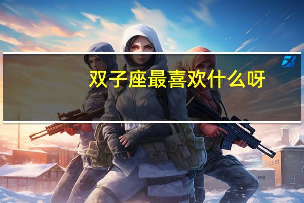 双子座最喜欢什么呀