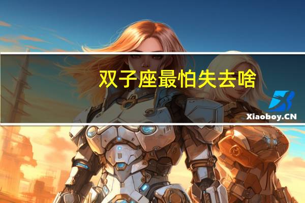 双子座最怕失去啥