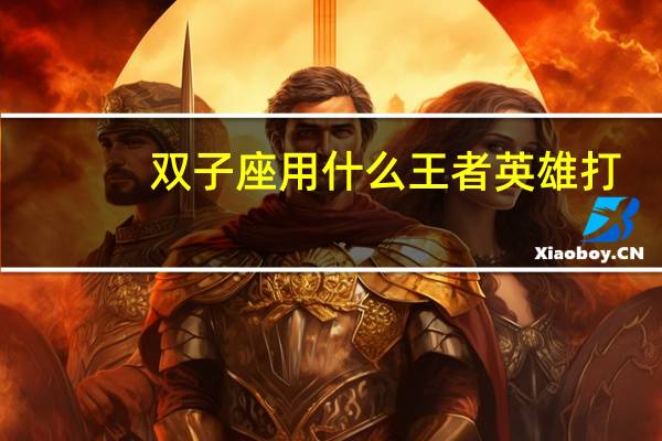 双子座用什么王者英雄打