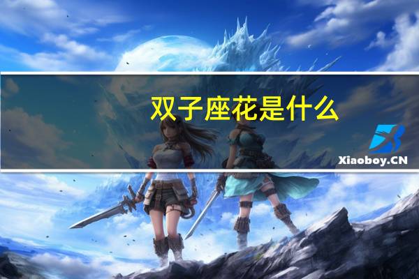 双子座花是什么