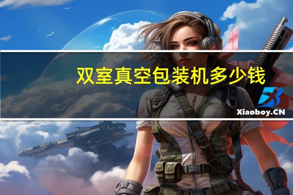 双室真空包装机多少钱